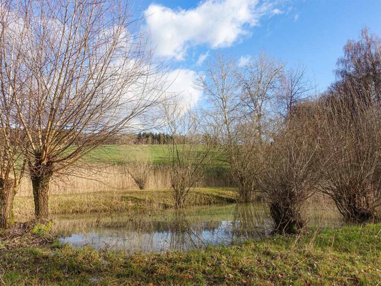 Gerhauweiher vor Sanierung