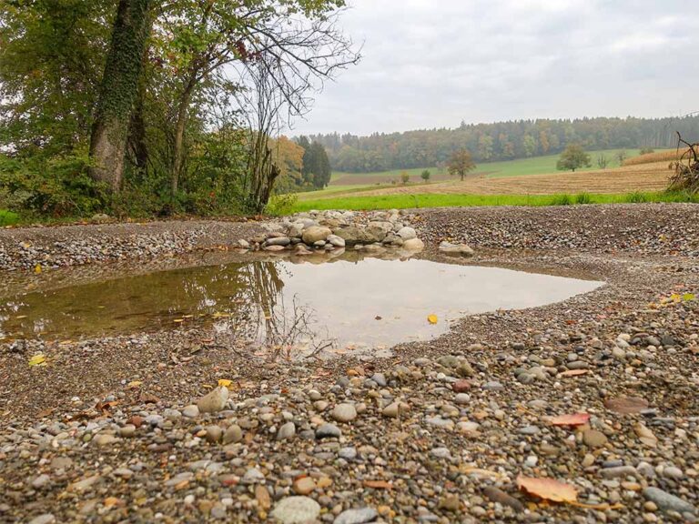 Kleiner sanierter Weiher