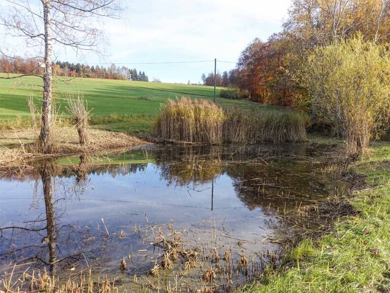 Alter grosser Weiher