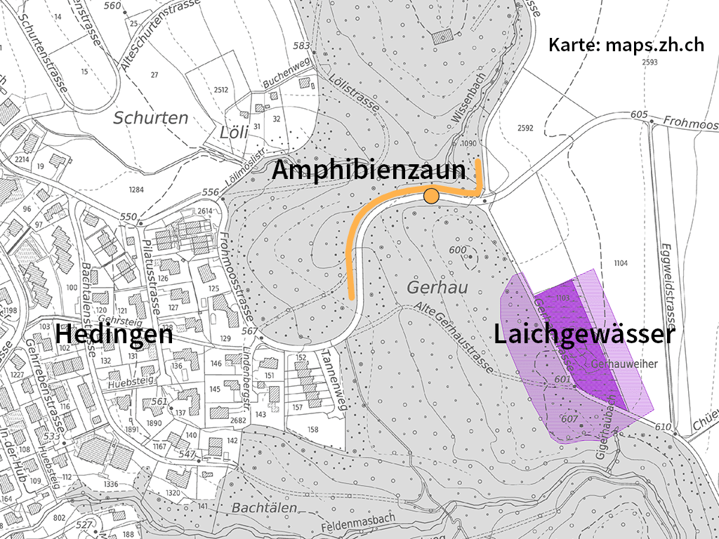 Karte der Amphibienzugstelle