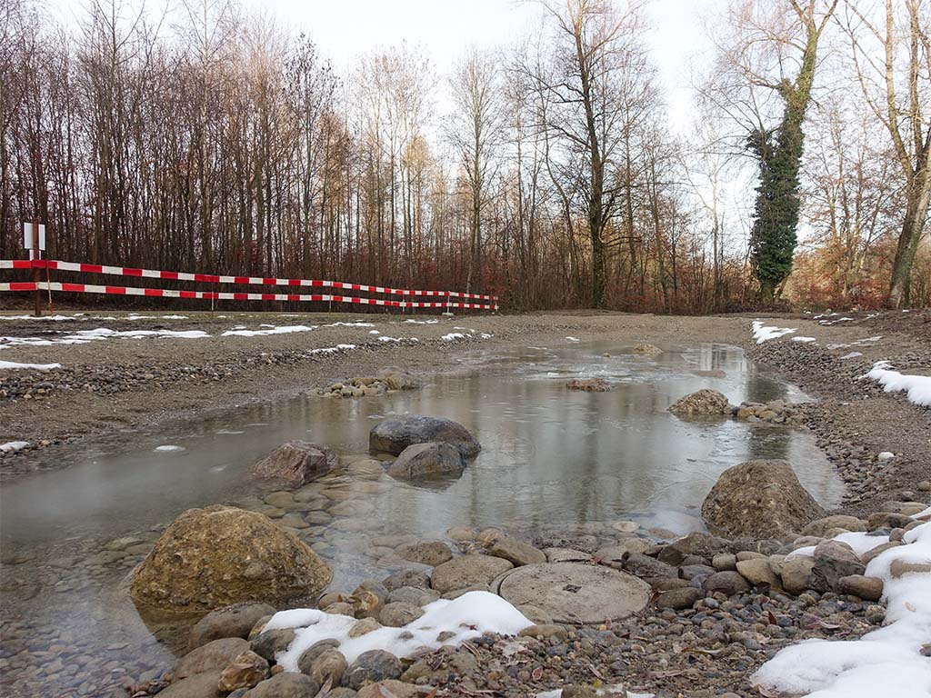 Grosser Weiher im Winter