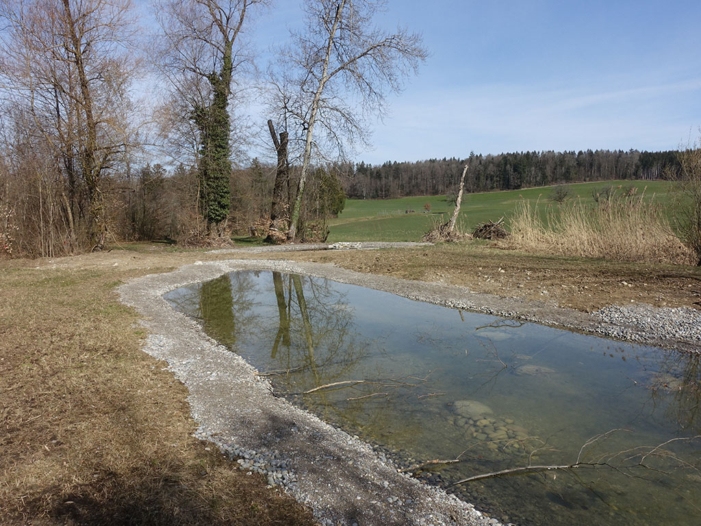 Gefüllter Weiher 2021