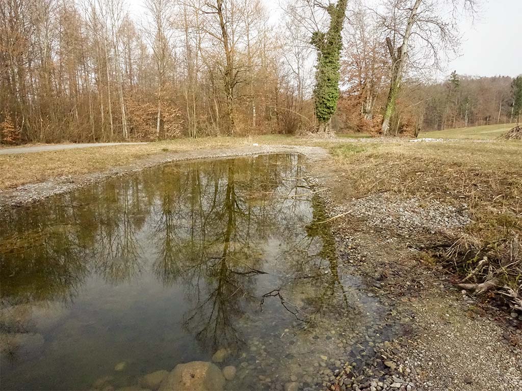 Grosser Weiher Frühling 2022