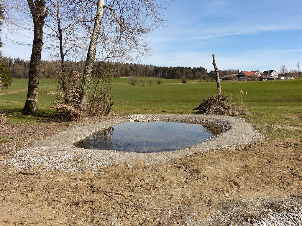 Kleiner sanierter Weiher