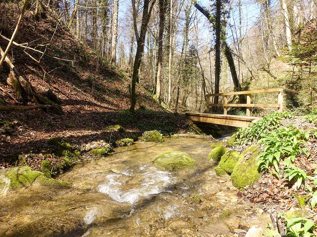 Feldenmasbach mit Brücke