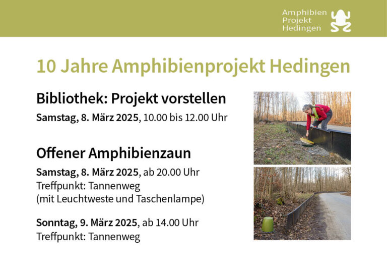 Flyer zu Anlässen in Hedingen