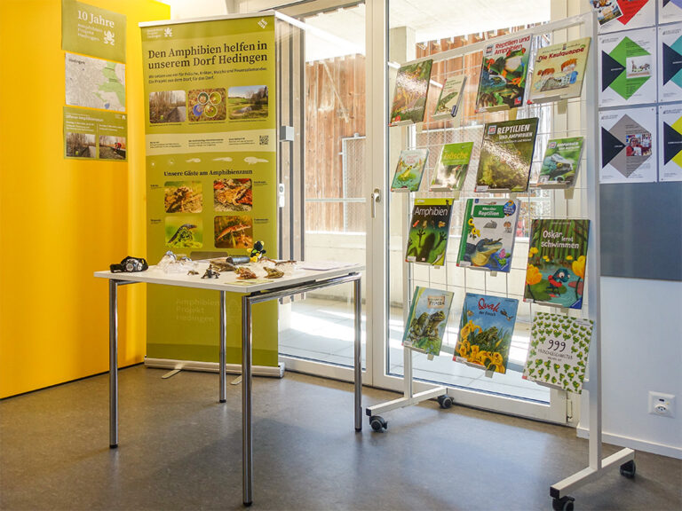 Stand in der Bibliothek Hedingen
