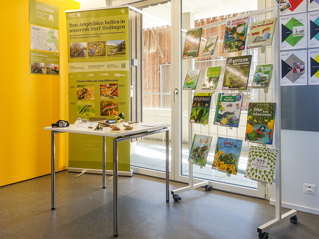 Stand in der Bibliothek Hedingen
