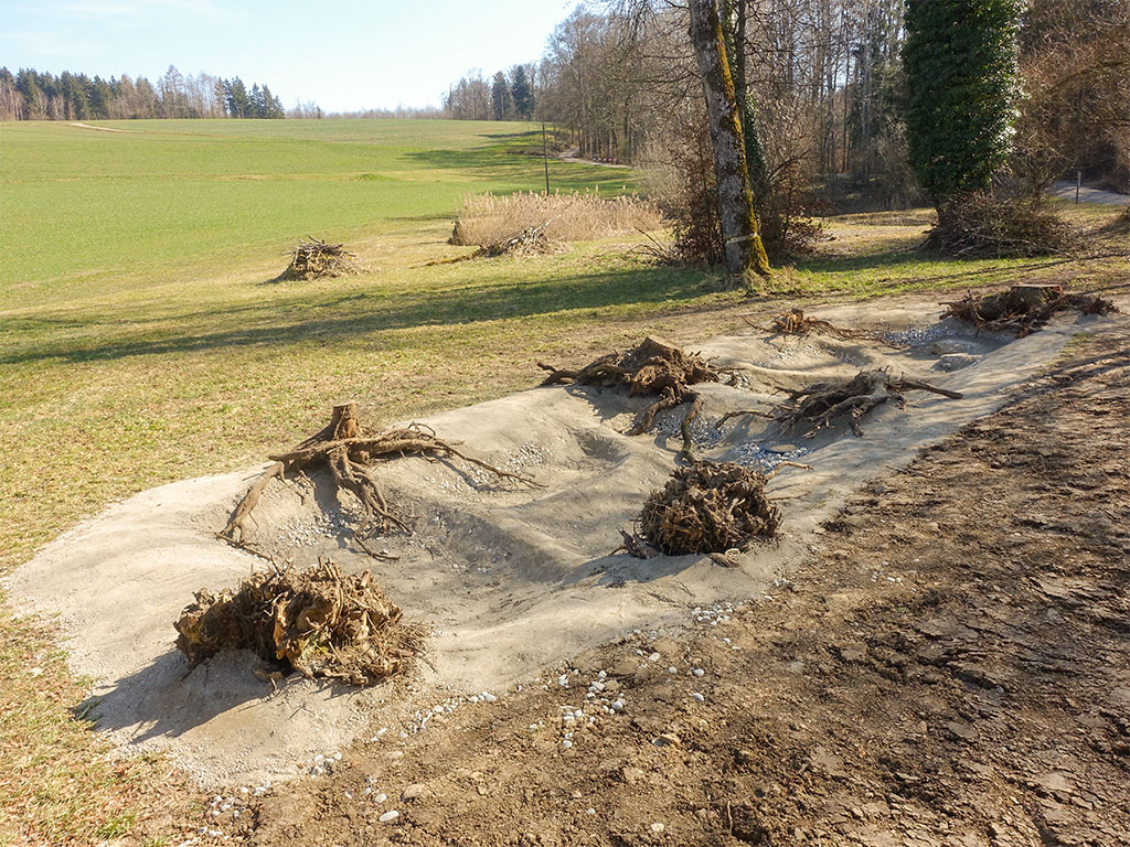 Neue Teiche für Gelbbauchunken