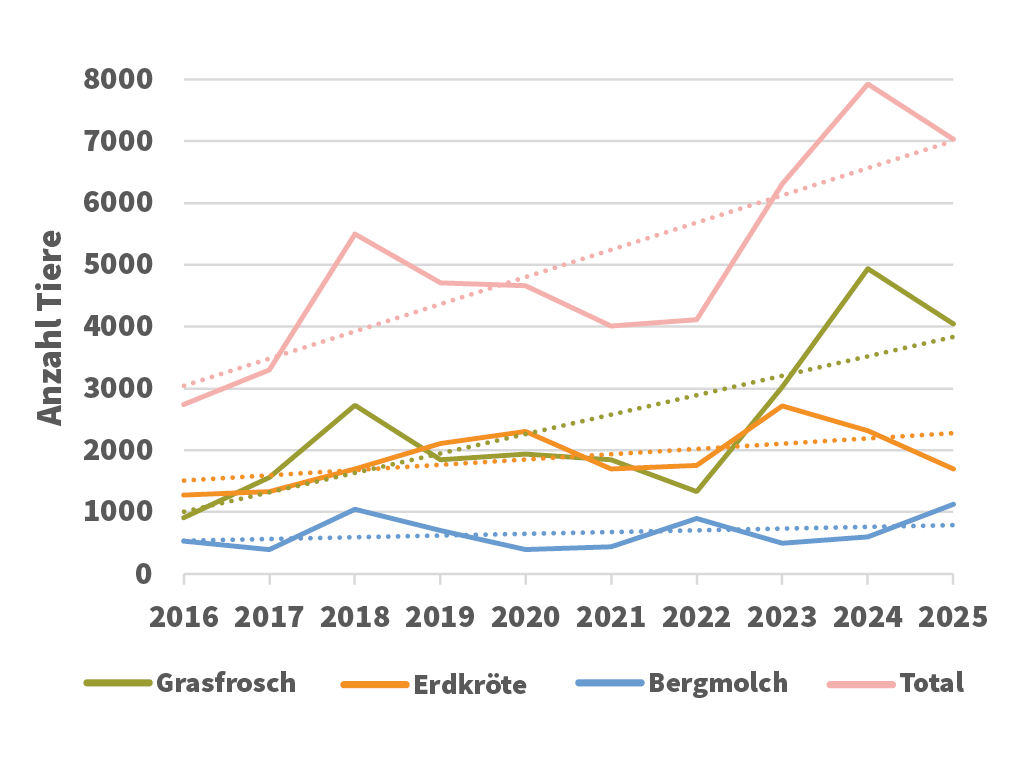 Protokollierte Amphibien 2016 bis 2025 mit Trends