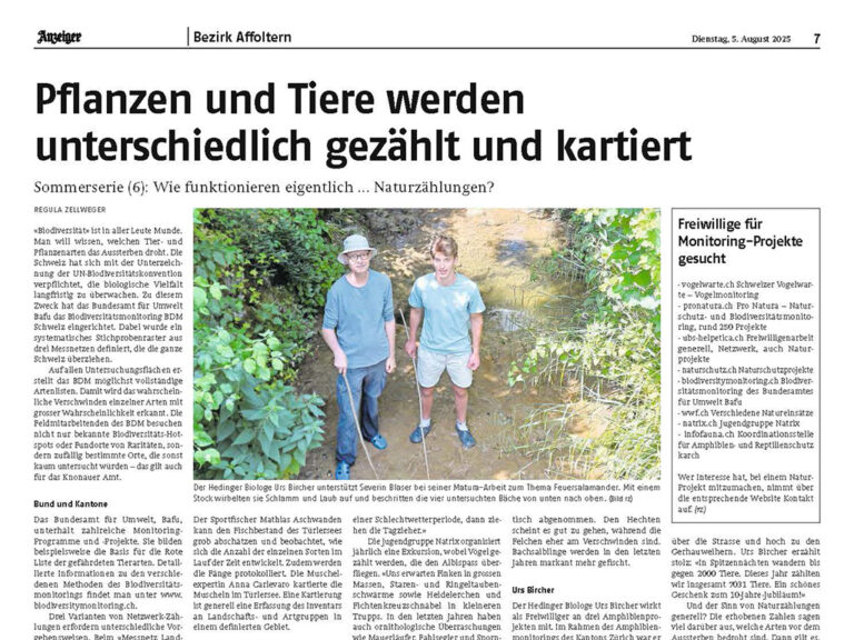 Auszug aus einem zeitungsartilkel