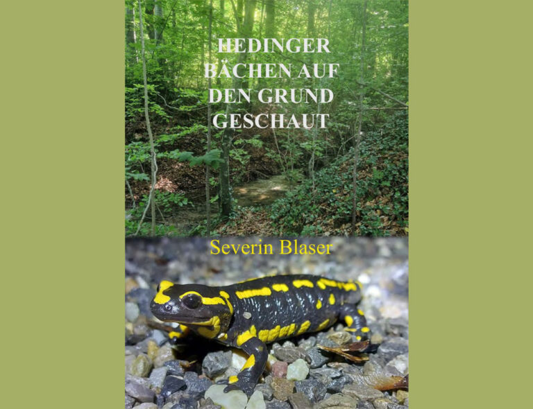 Titelbild Maturaarbeit Severin Blaser