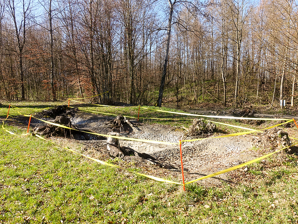 Teiche für Gelbbauchunken sind leer