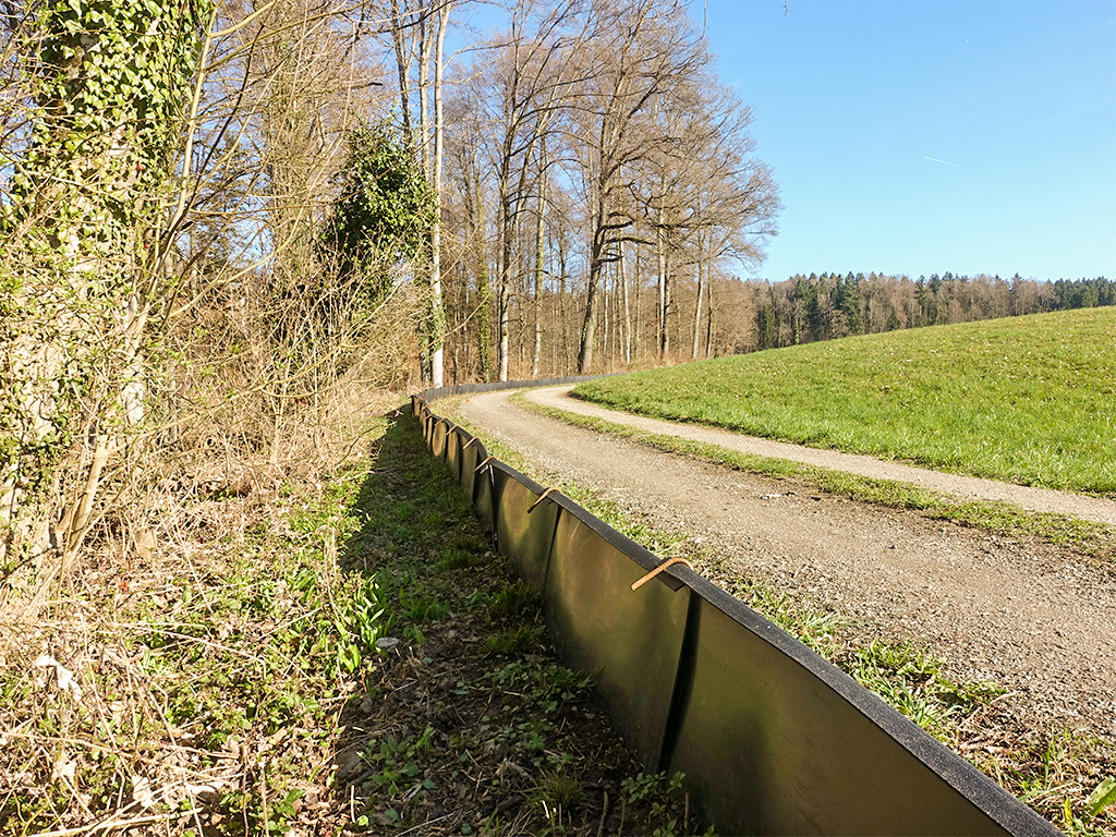 Im Jahr 2026 verlängerter Amphibienzaun in Hedingen
