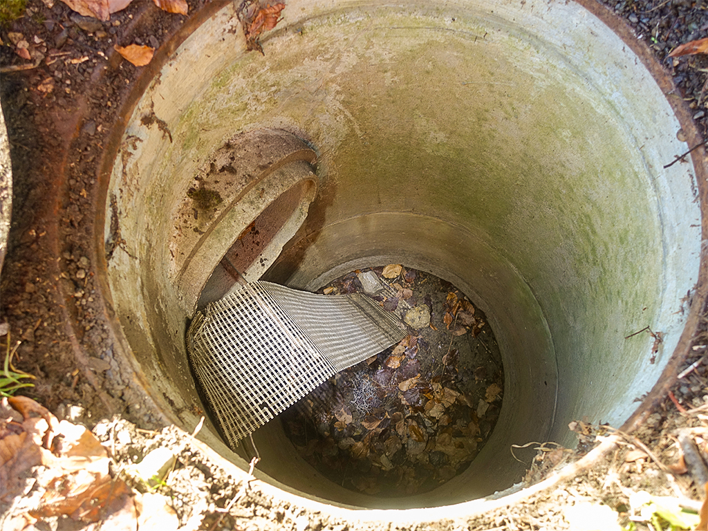 Ausstiegshilfe für Amphibien in einem Schacht
