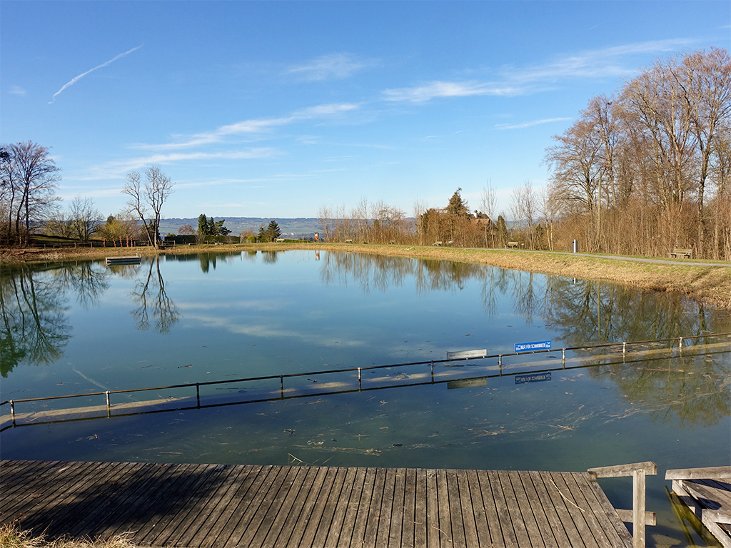 Hediger Weiher