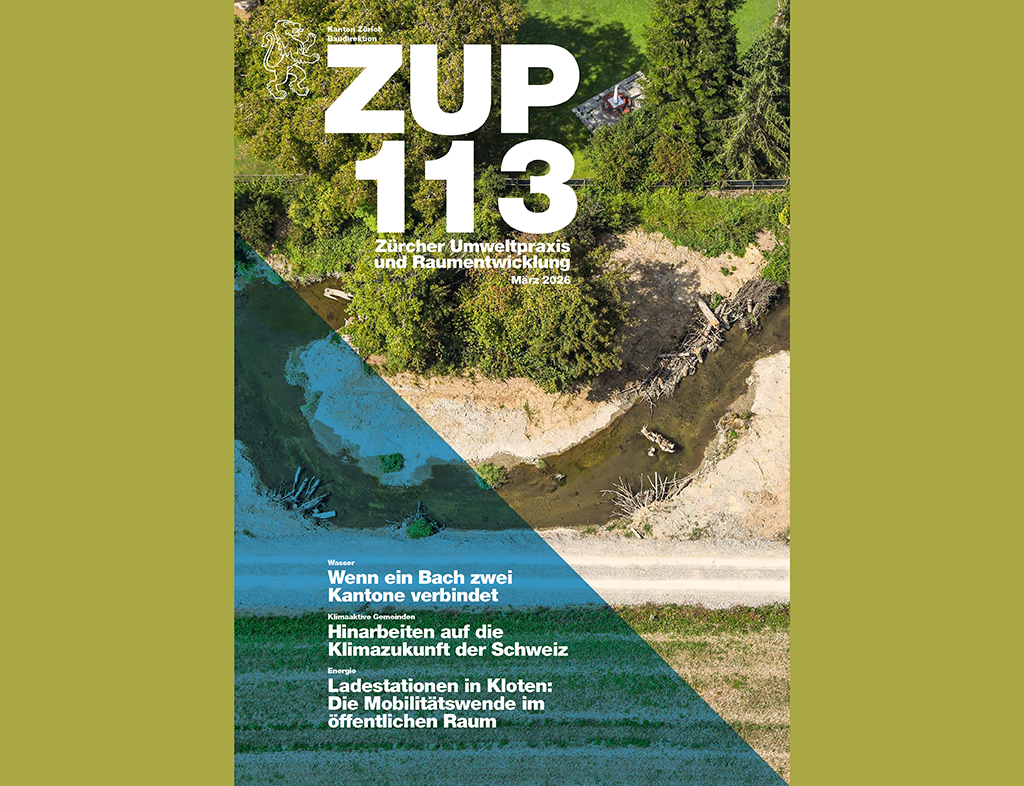 ZUP 113